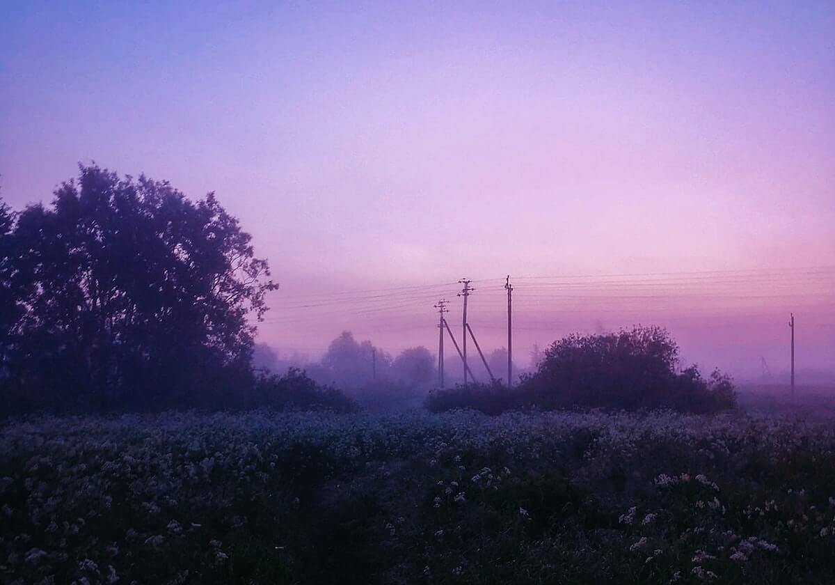 杭州队赢了！三连胜达成！现场喊得最大声的是“梅西”和她的小伙伴